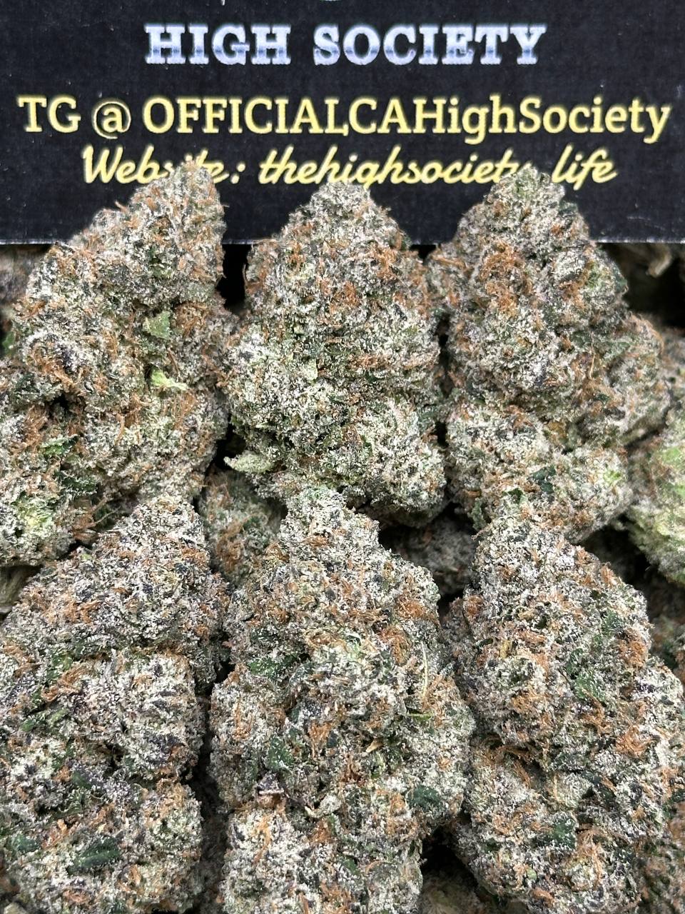 #IN505 - Starfruit Runtz (Indica Hybrid)