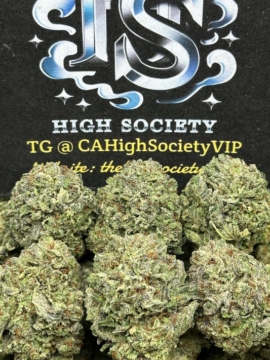 #B787 - Jawbreaker Gelato (Indica Hybrid)