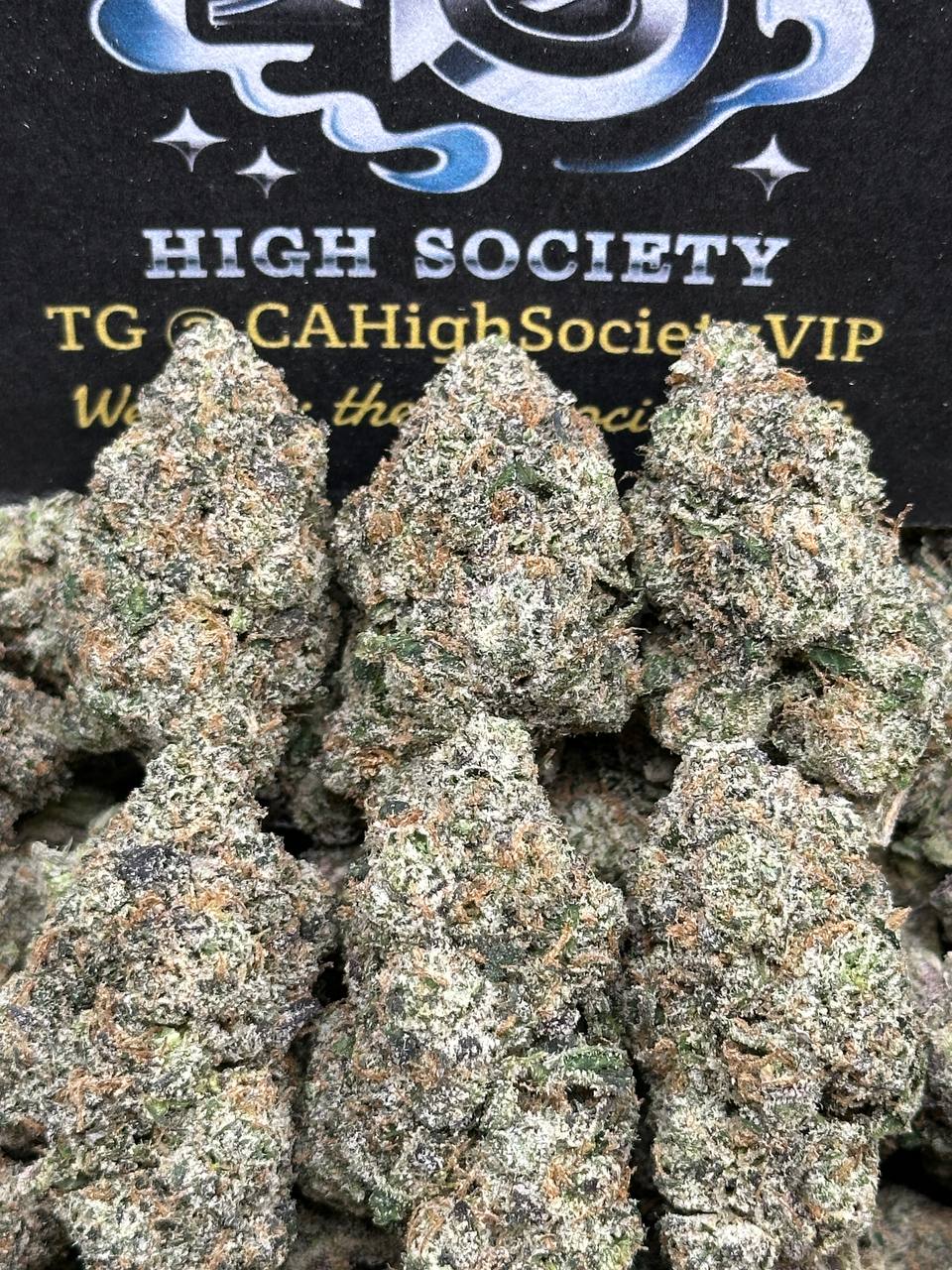 #IN169 - Alien Zangaria (Indica Hybrid)