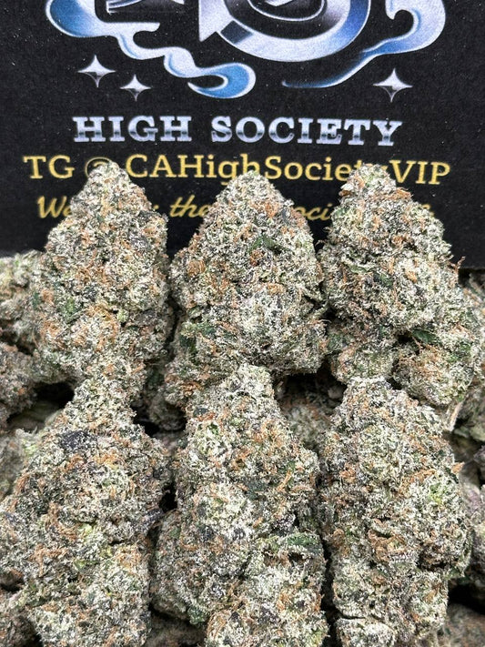 #IN169 - Alien Zangaria (Indica Hybrid)