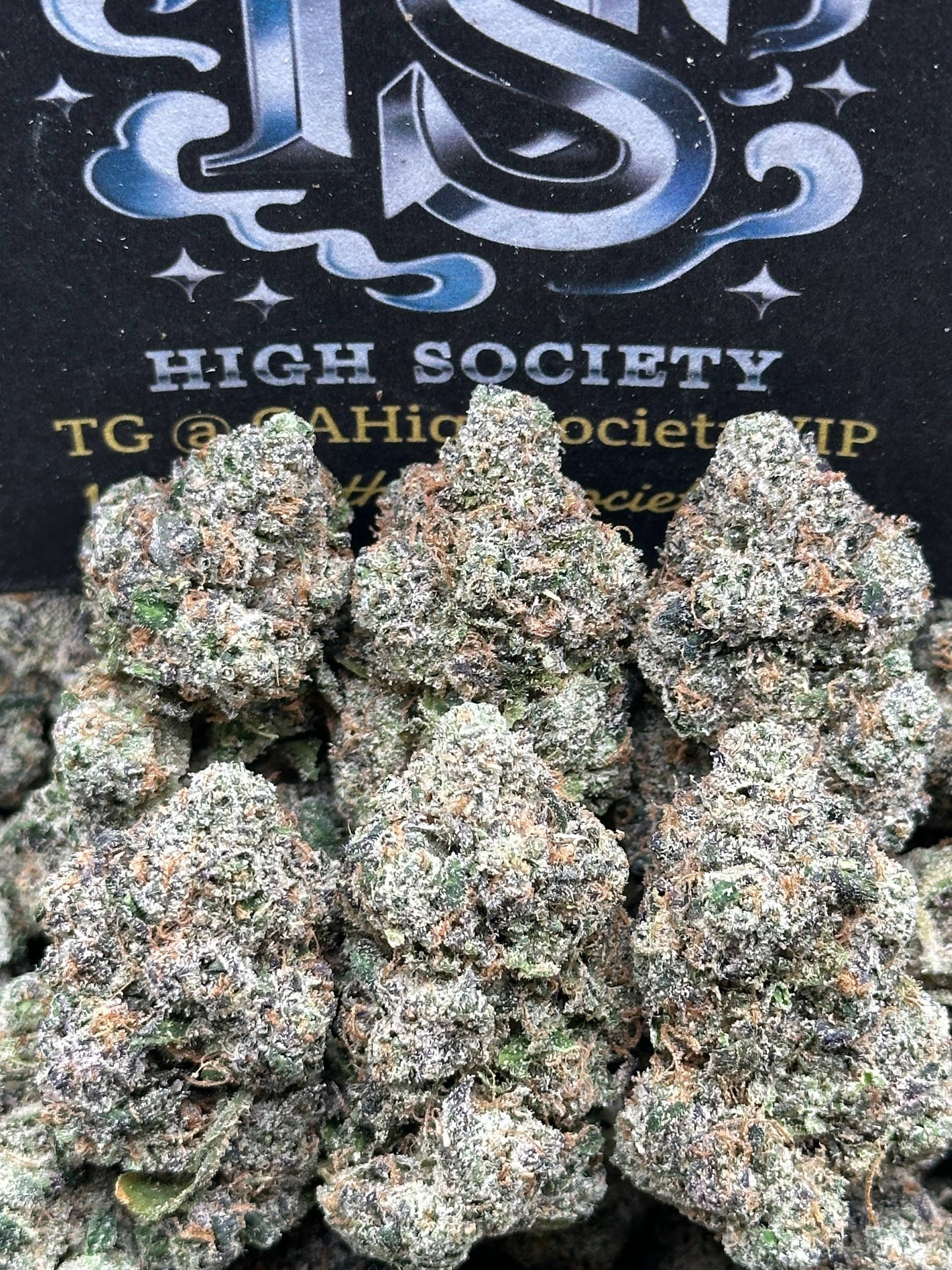 #IN702 - Celestial Treasure (Hybrid)