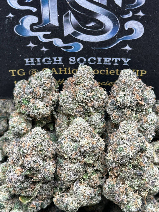 #IN702 - Celestial Treasure (Hybrid)