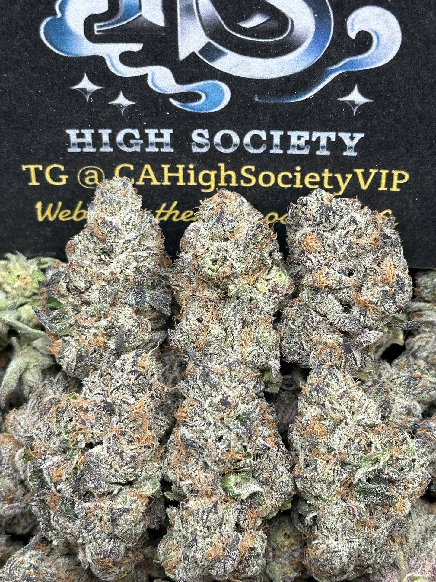 #AA569 - Brownie Brittle (Hybrid)