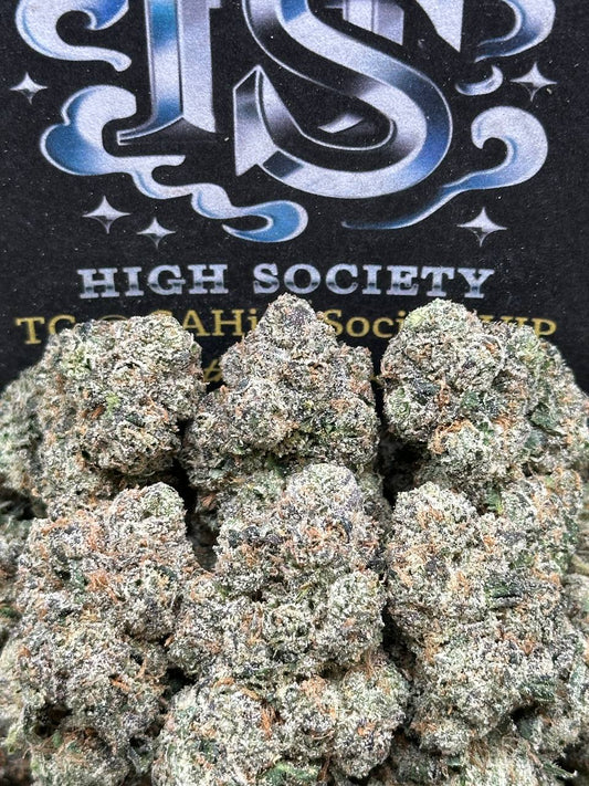 #IN516 - Lunar Eclipse (Indica)