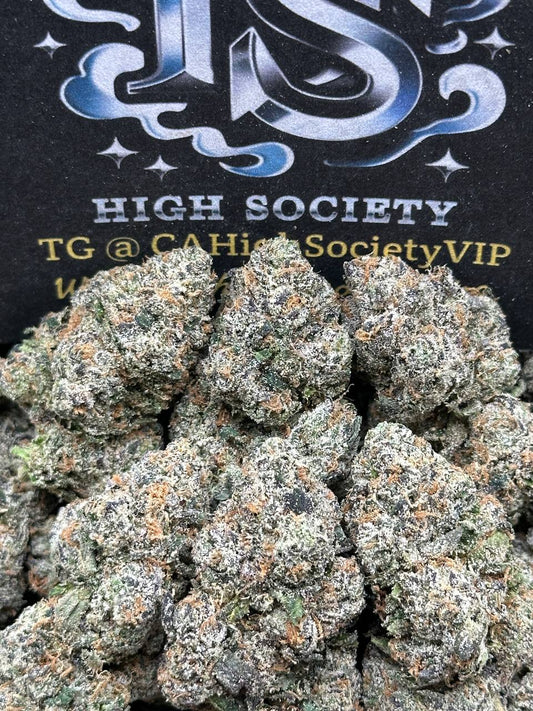 #IN519 - Platinum Starlight (Hybrid)