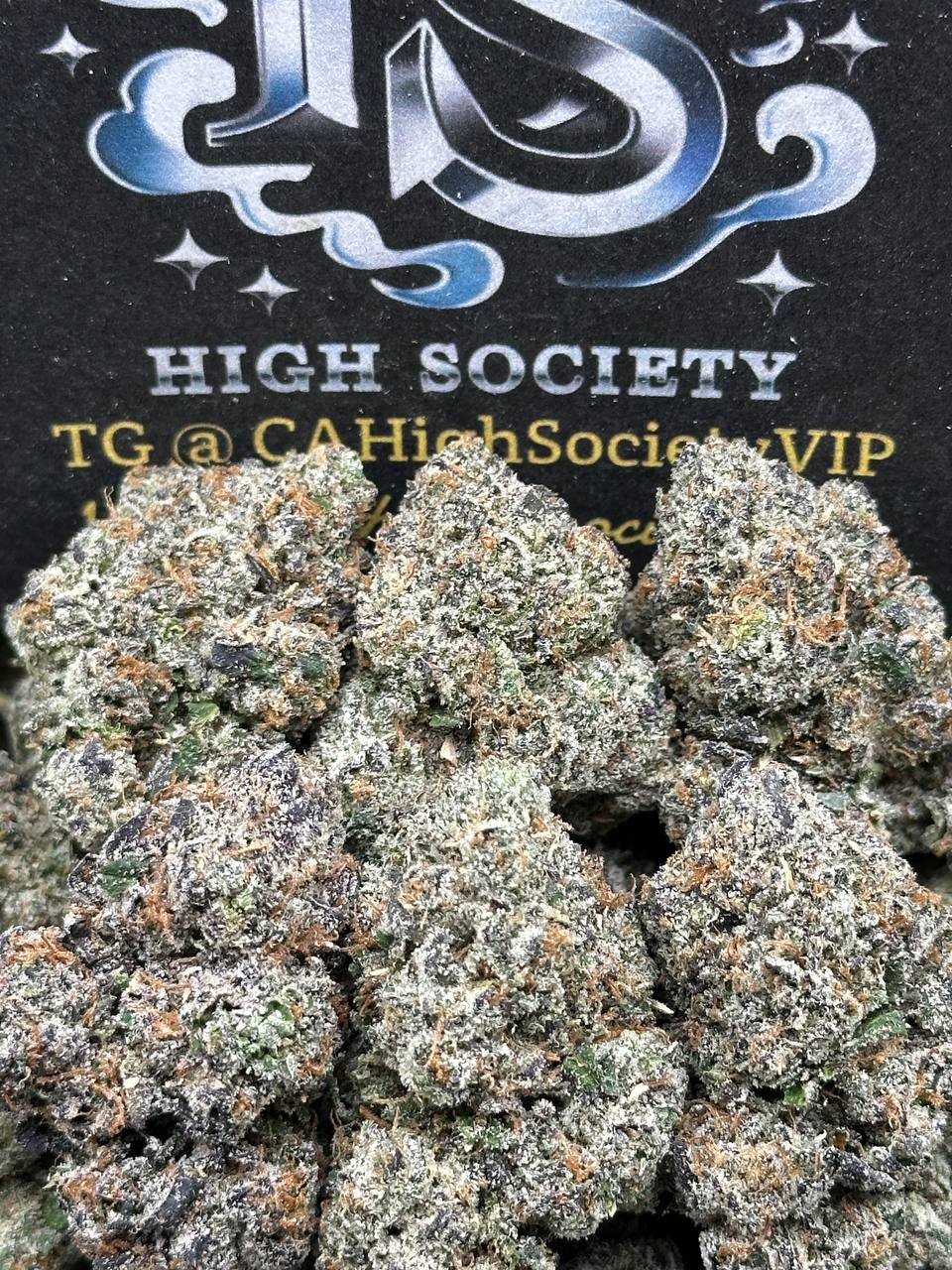 #RAP510 - Bolo Runtz (Hybrid)