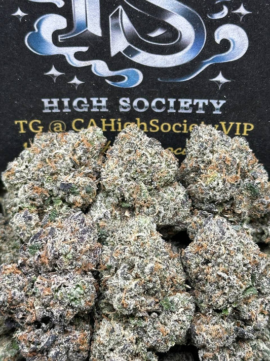 #RAP510 - Bolo Runtz (Hybrid)