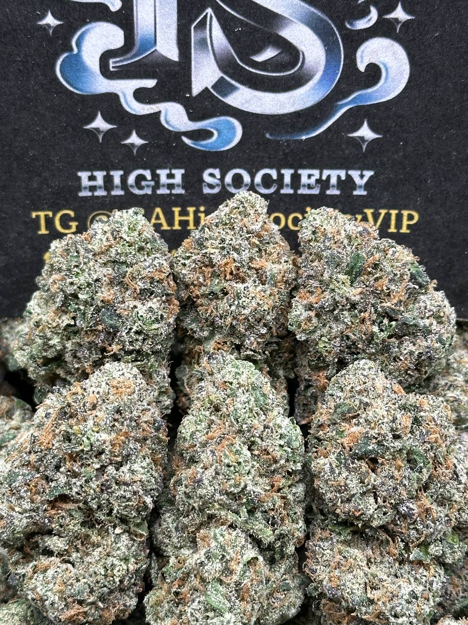 #IN526 - Bolo Runtz (Indica)