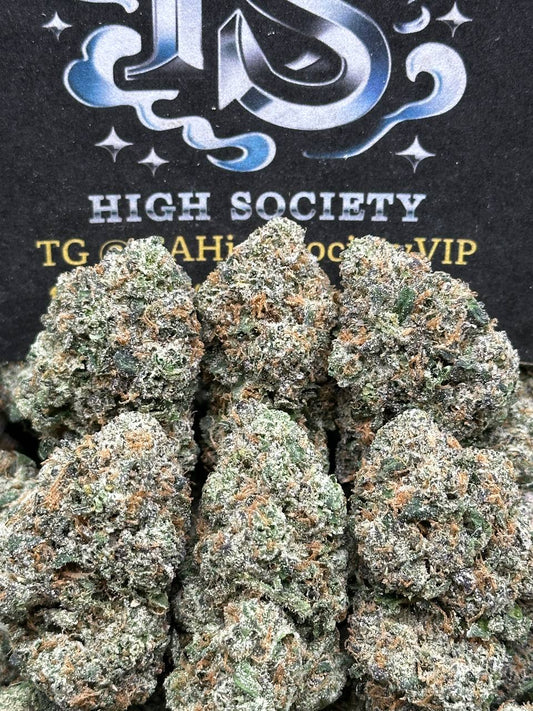 #IN526 - Bolo Runtz (Indica)