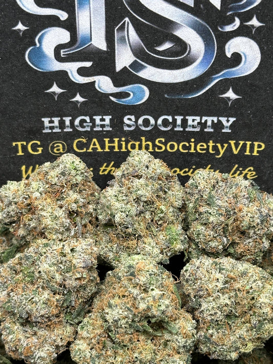 #AA980 - Zour Patch (Hybrid)