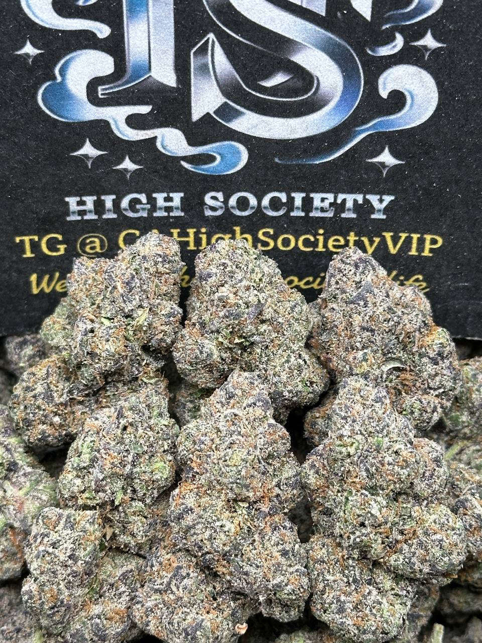 #AA992 - Sugared Kiwi (Hybrid)