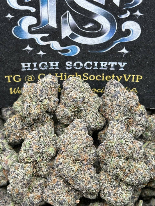 #AA992 - Sugared Kiwi (Hybrid)