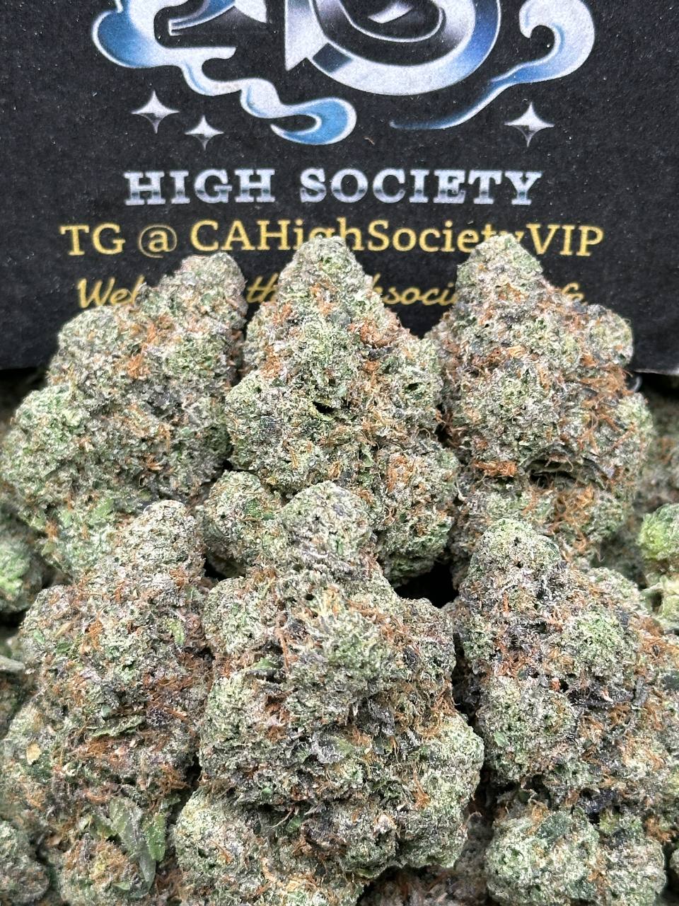 #EA049 - Pistachio Cookiez (Hybrid)