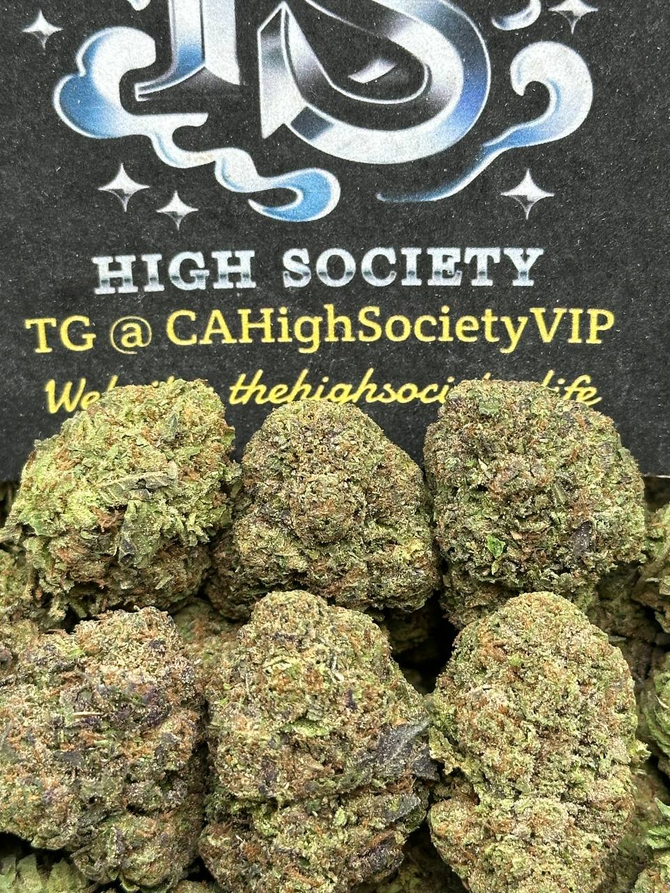 #B932 - Lemon Bar (Hybrid)