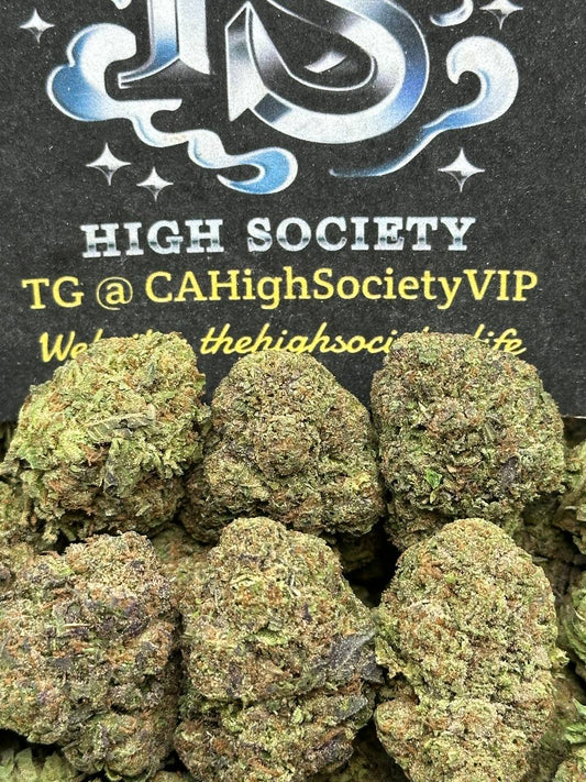 #B932 - Lemon Bar (Hybrid)