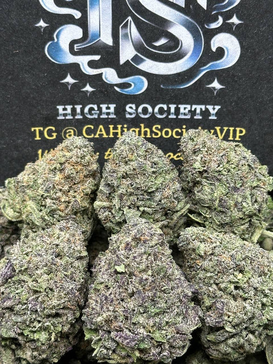 #B934 - Cinnamon Sugar (Hybrid)