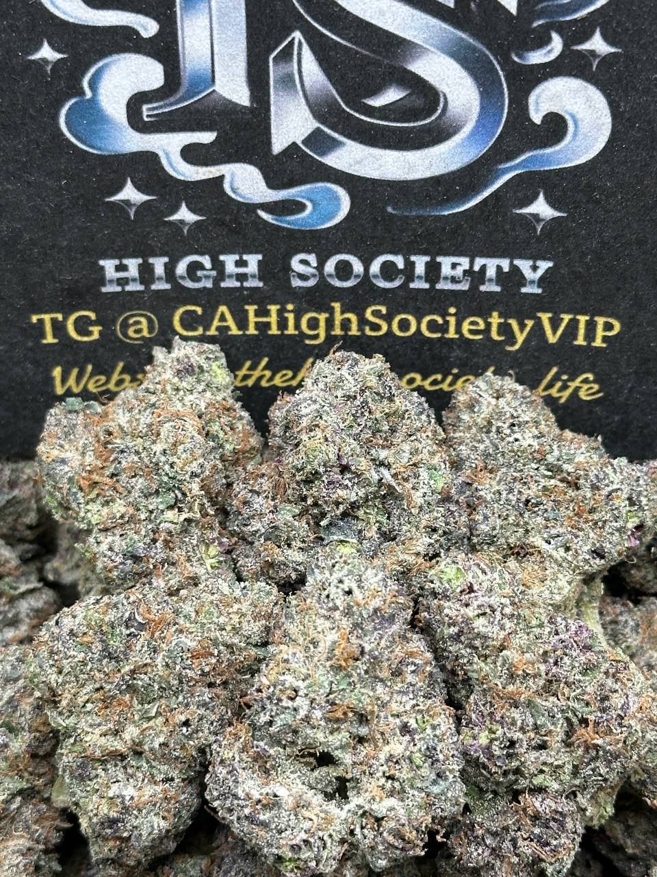 #EA057 - Molasses Cookiez (Hybrid)