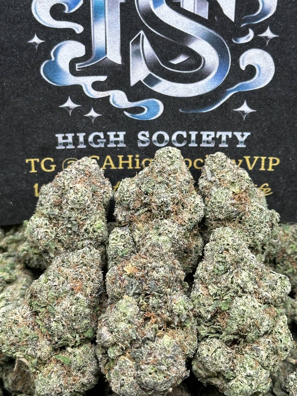 #EA063 - Lemon Guava Gelato (Hybrid)