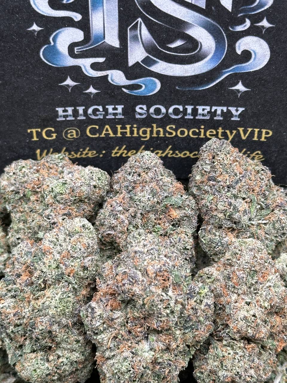 #EA065 - Lemon Chew (Hybrid)