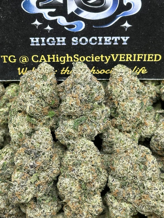 #IN169 - Alien Zangaria (Indica Hybrid)