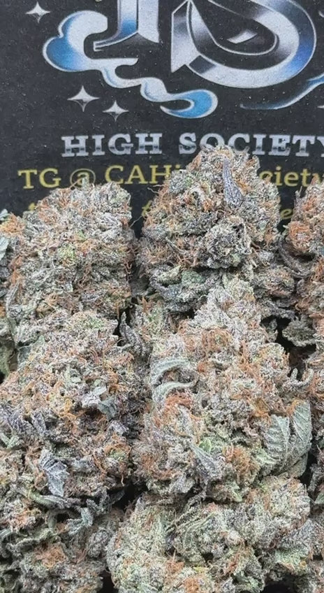 #AA958 - Bubba Star (Hybrid)