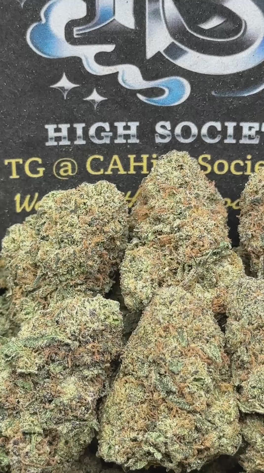 #AA932 - Brown Sugar Mocha (Hybrid)