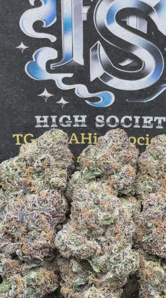 #AA982 - Sugar Runtz (Hybrid)