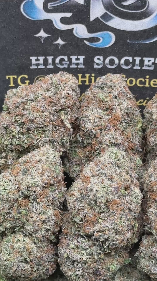 #AA969 - Candy Cloud (Hybrid)