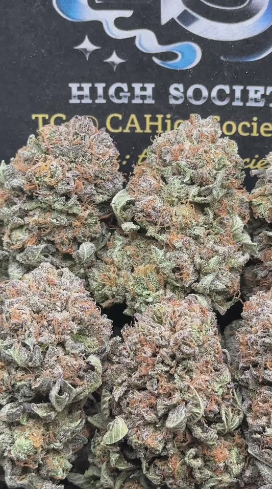 #AA554 - Bubba Bomb (Hybrid)