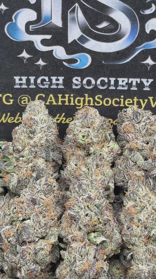 #AA569 - Brownie Brittle (Hybrid)