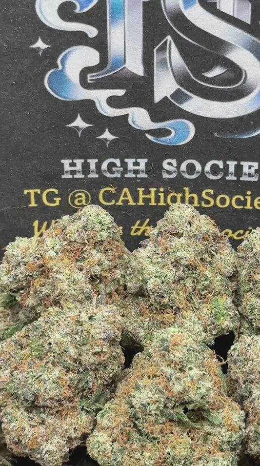 #AA980 - Zour Patch (Hybrid)