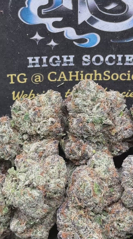 #AA546 - Citrus Galaxy (Hybrid)