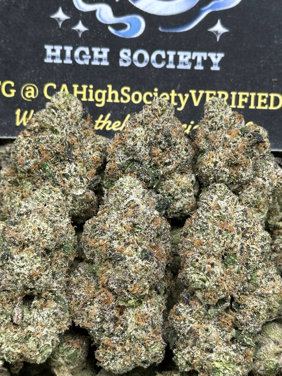 #IN192 - Vorpal Cherry Aurora II (Indica)